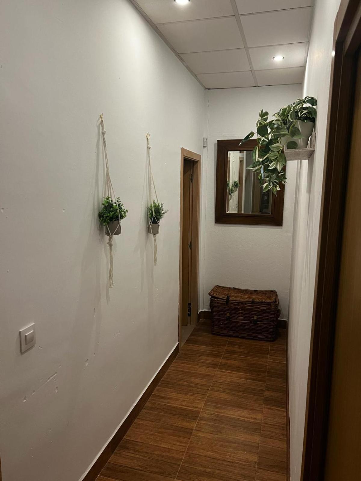 Villa Dehesa Olive Лусена Екстериор снимка